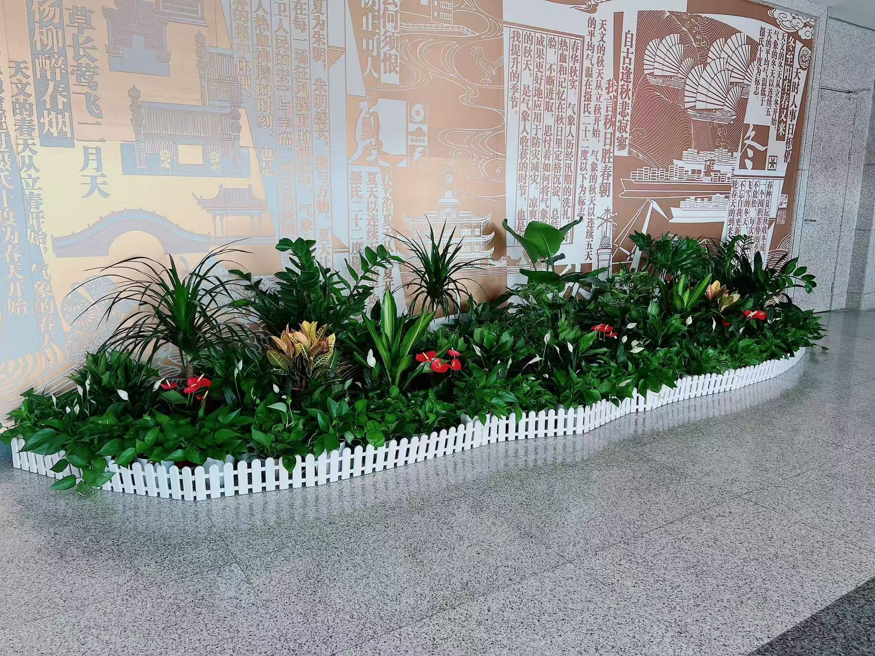 宁波前湾花卉租赁专业